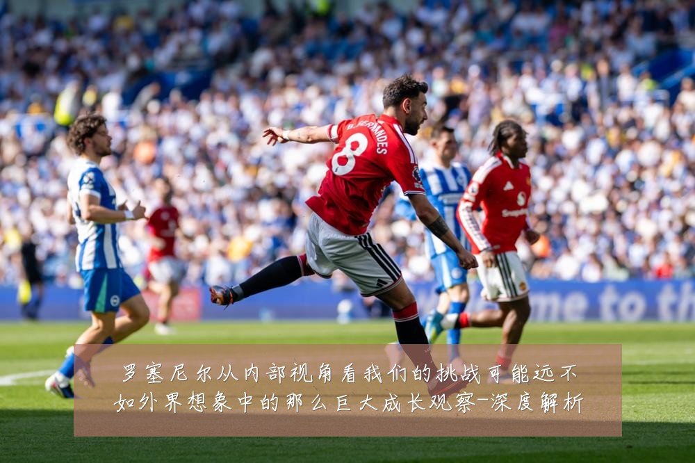 罗塞尼尔从内部视角看我们的挑战可能远不如外界想象中的那么巨大成长观察-深度解析