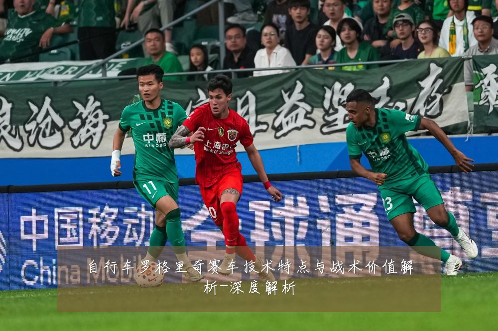 自行车罗格里奇赛车技术特点与战术价值解析-深度解析
